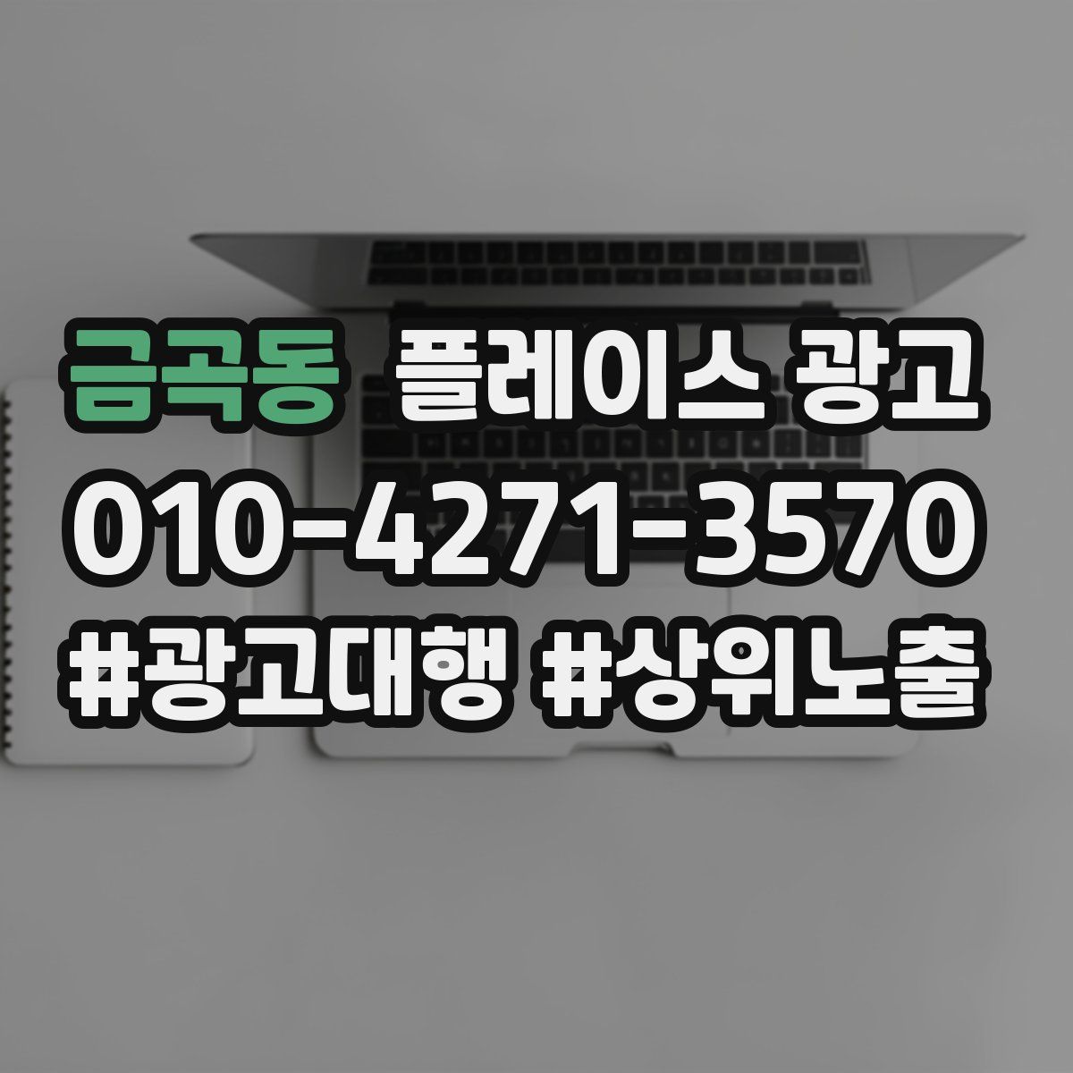 금곡동 플레이스 광고