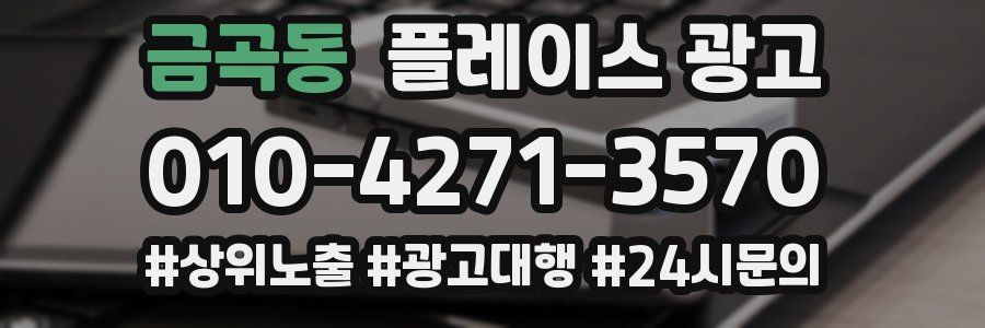 금곡동 플레이스 광고