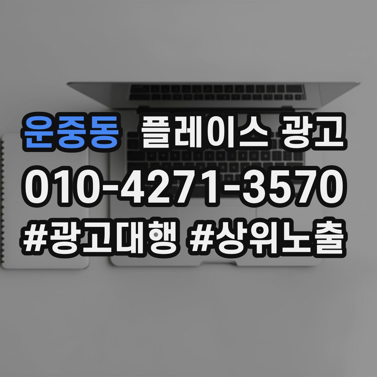 운중동 플레이스 광고