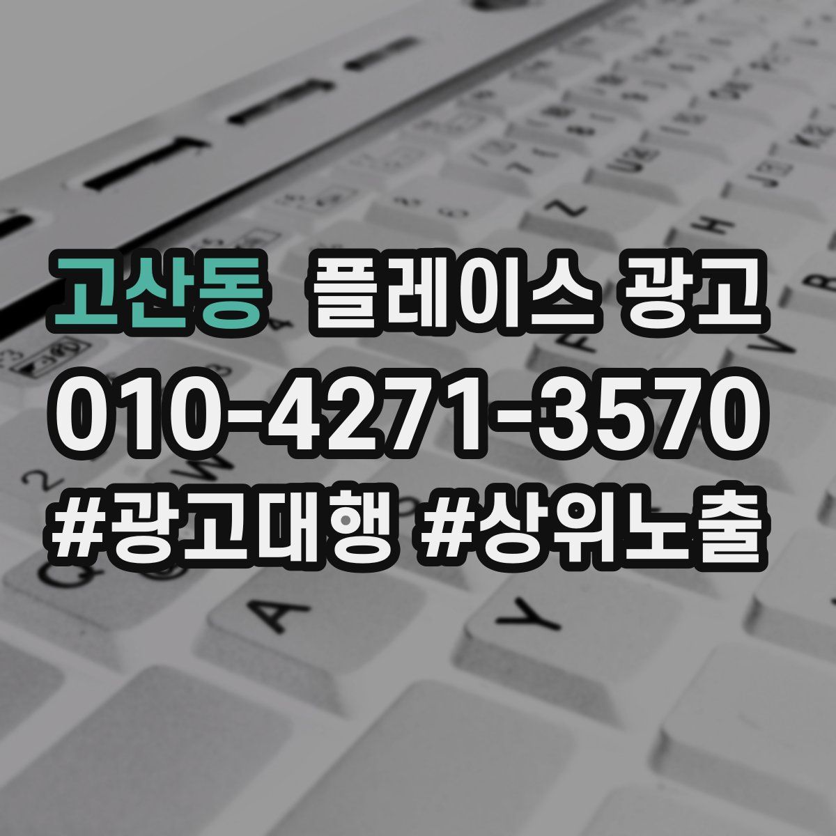고산동 플레이스 광고