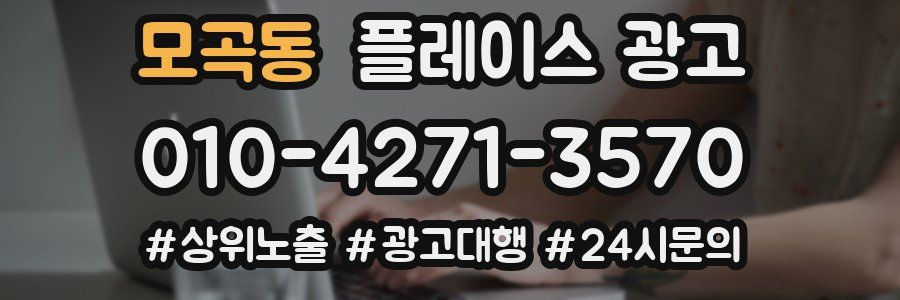 모곡동 플레이스 광고