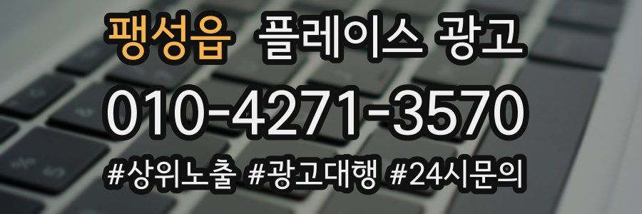 팽성읍 플레이스 광고