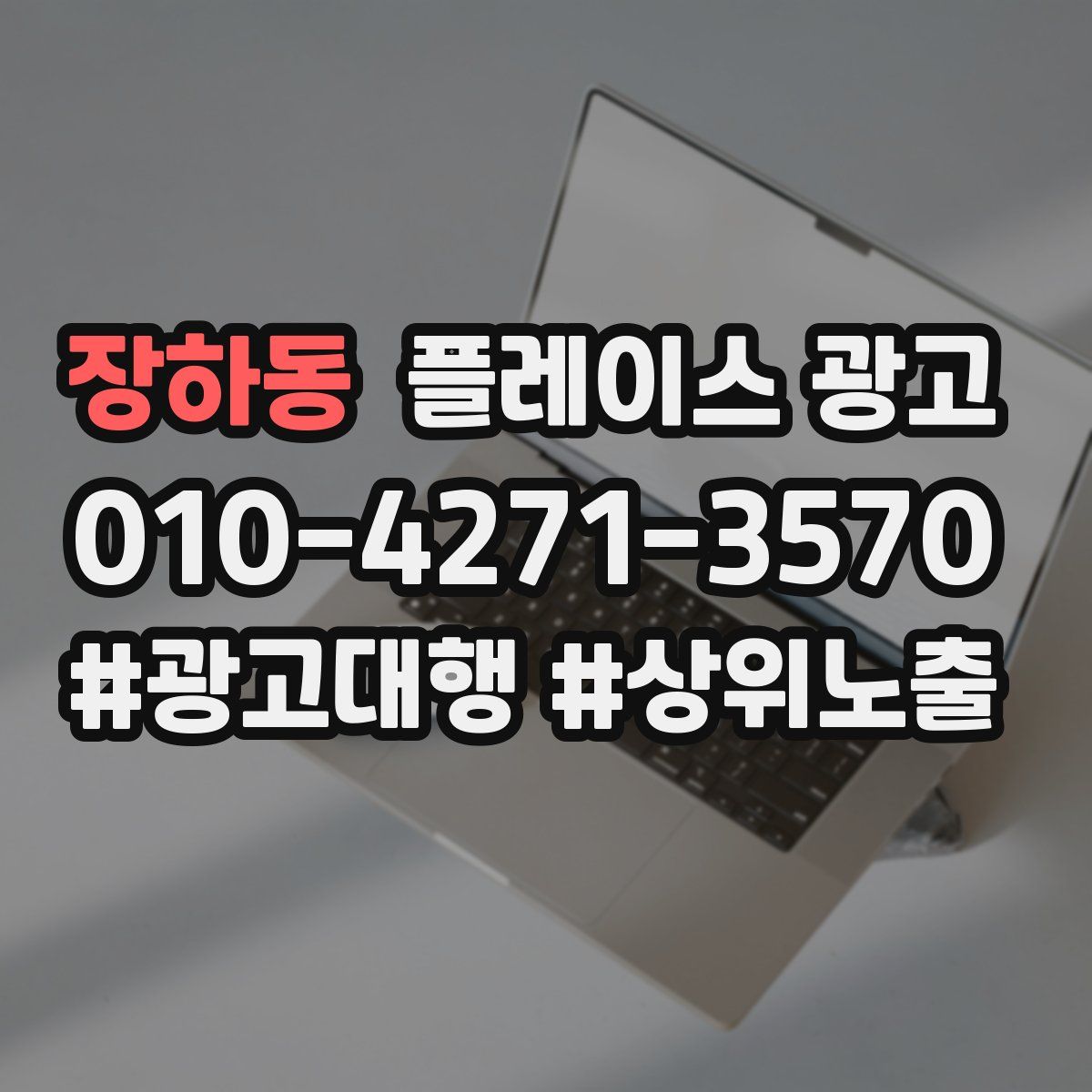 장하동 플레이스 광고