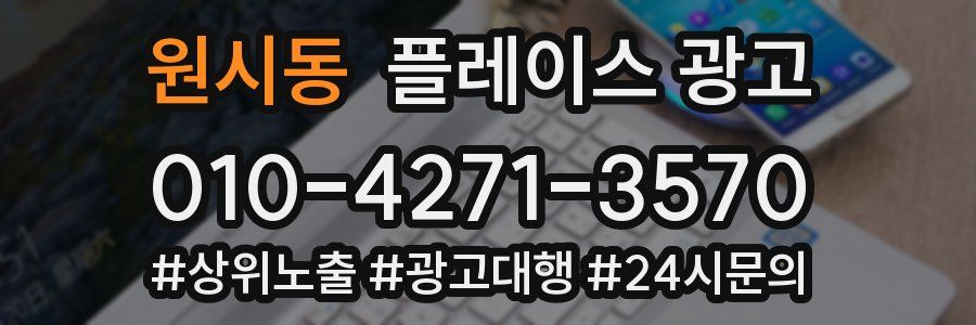 원시동 플레이스 광고