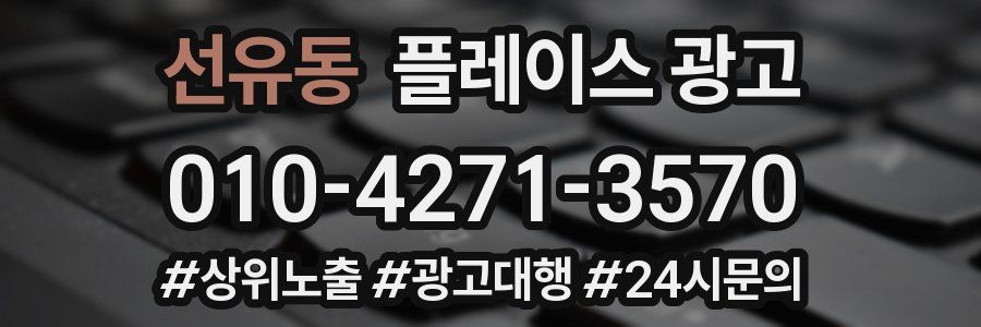 선유동 플레이스 광고