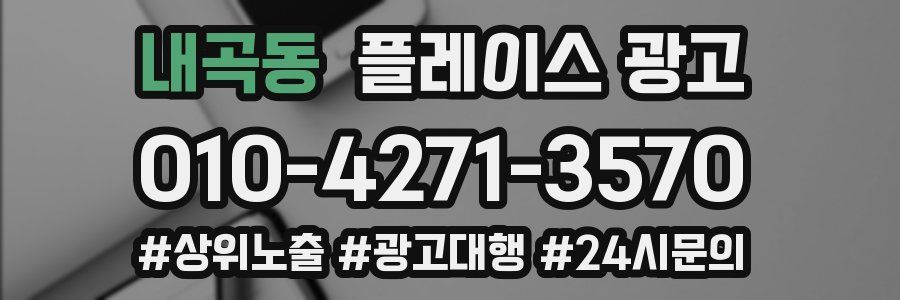 내곡동 플레이스 광고
