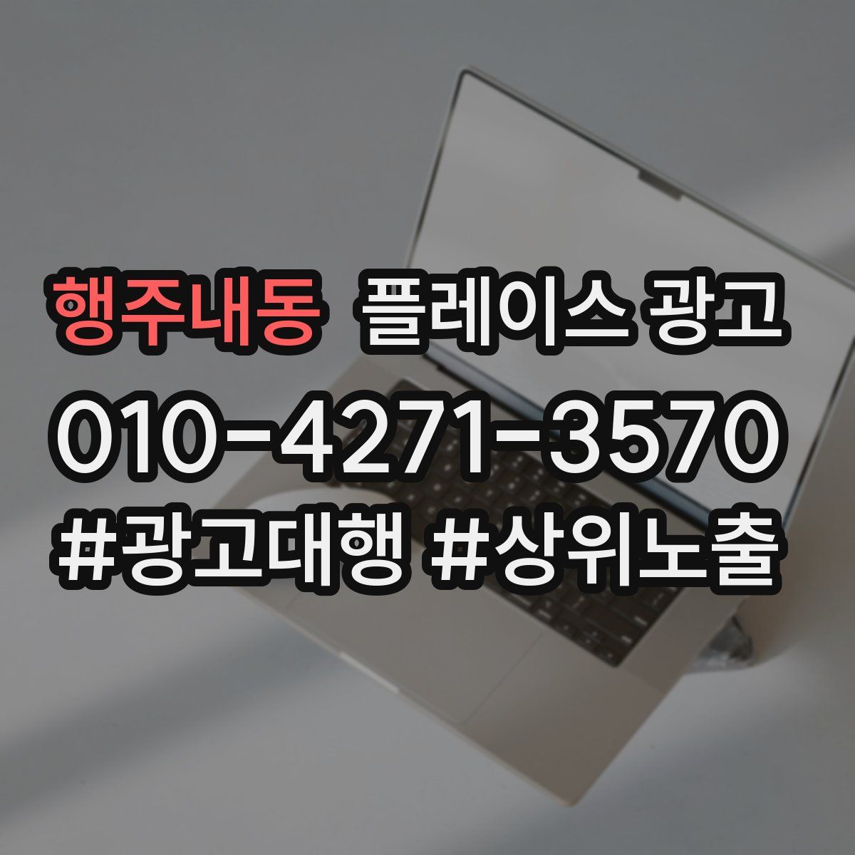행주내동 플레이스 광고