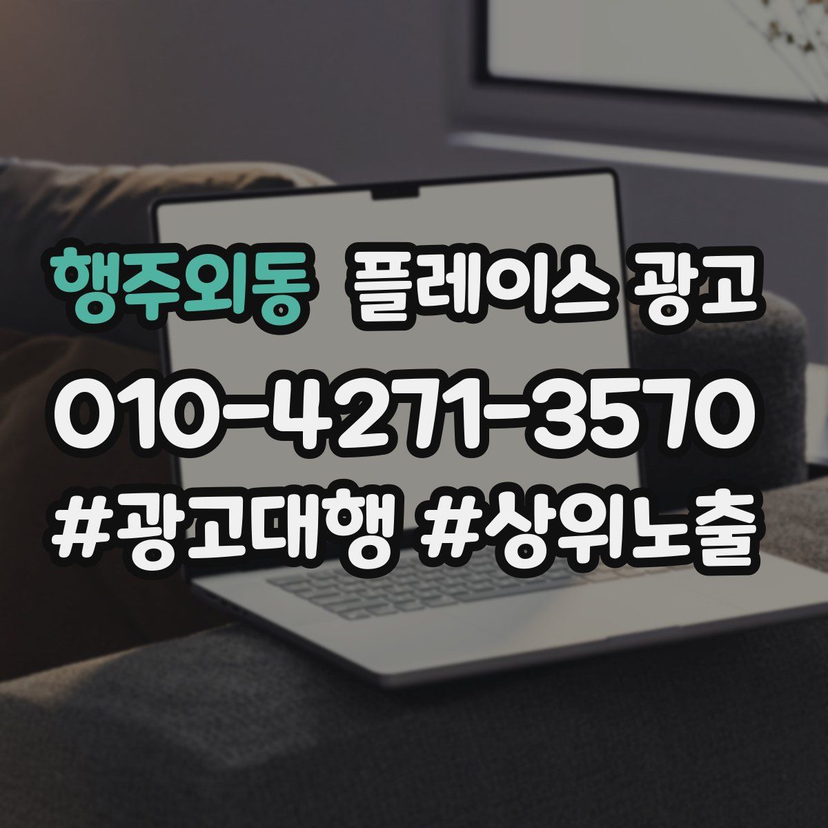 행주외동 플레이스 광고