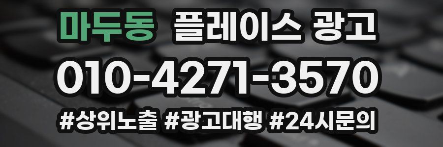 마두동 플레이스 광고