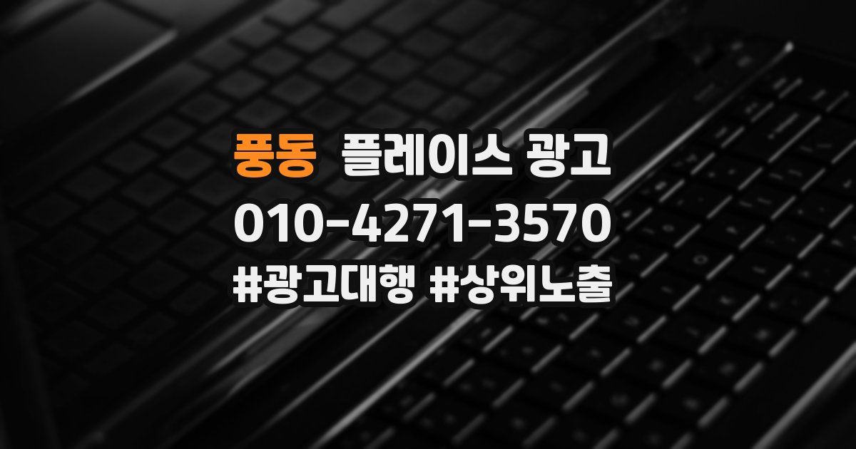 풍동 플레이스 광고