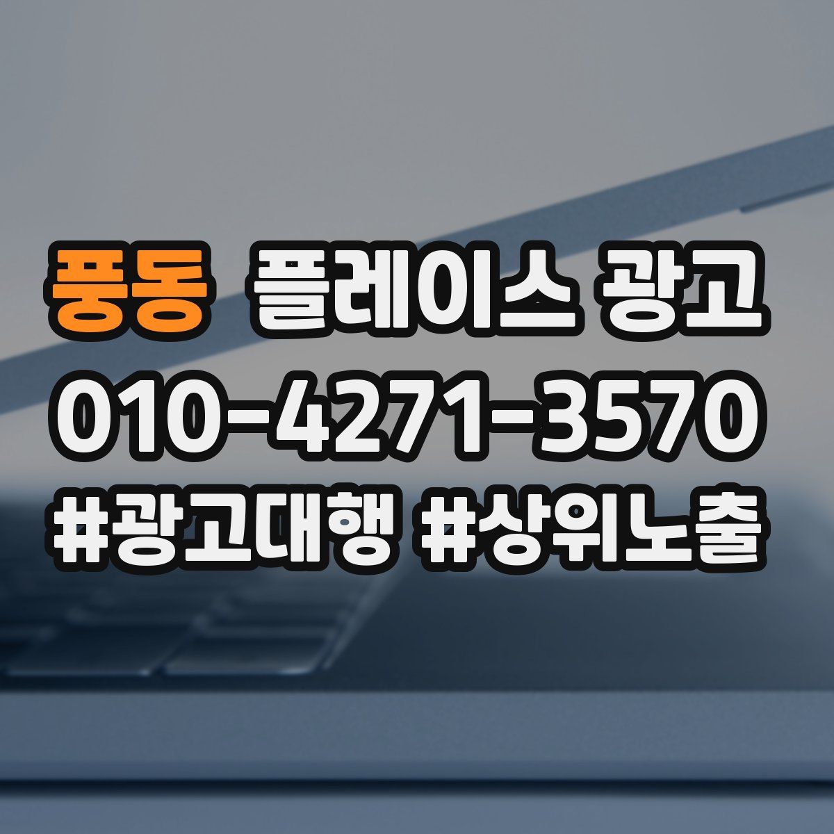 풍동 플레이스 광고