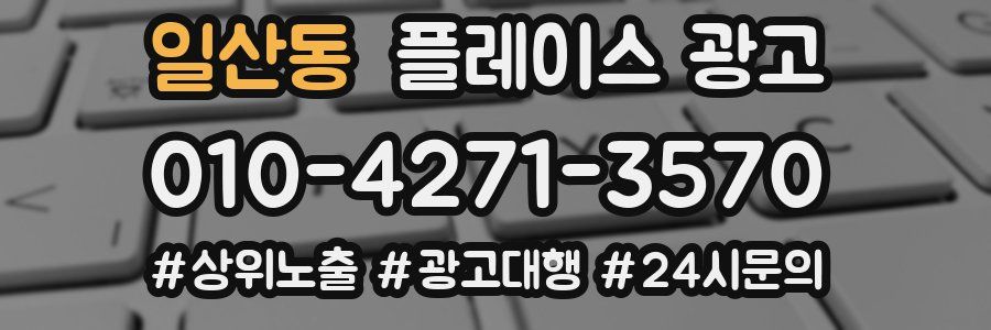일산동 플레이스 광고