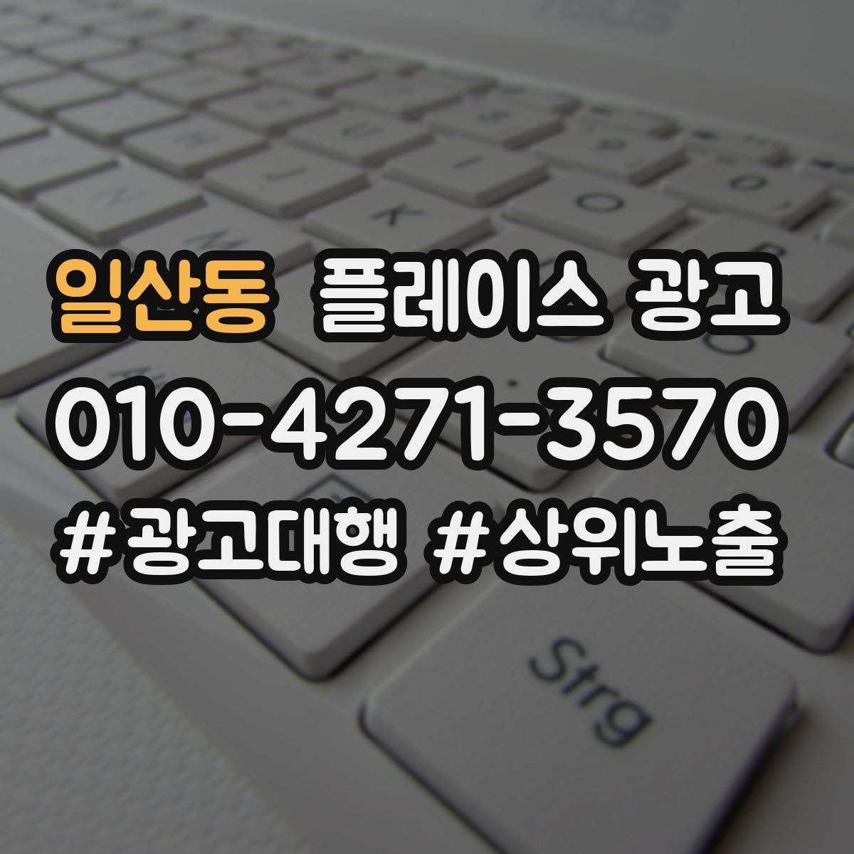 일산동 플레이스 광고