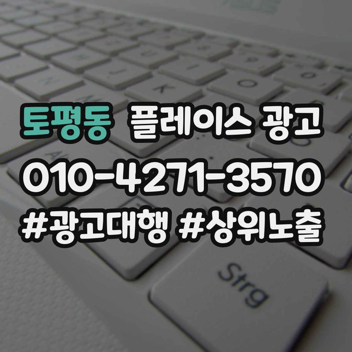 토평동 플레이스 광고