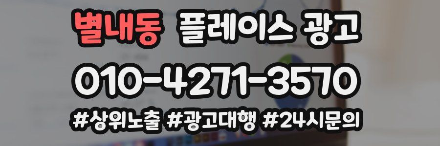 별내동 플레이스 광고