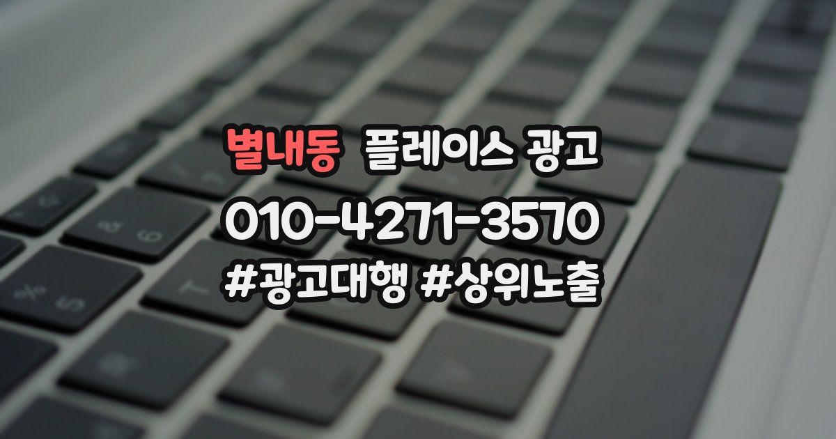 별내동 플레이스 광고