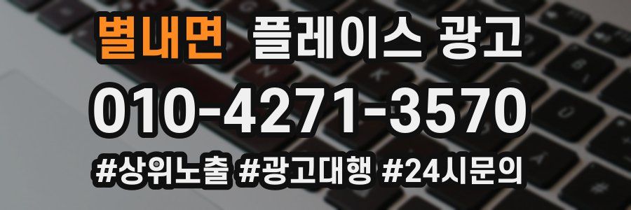 별내면 플레이스 광고