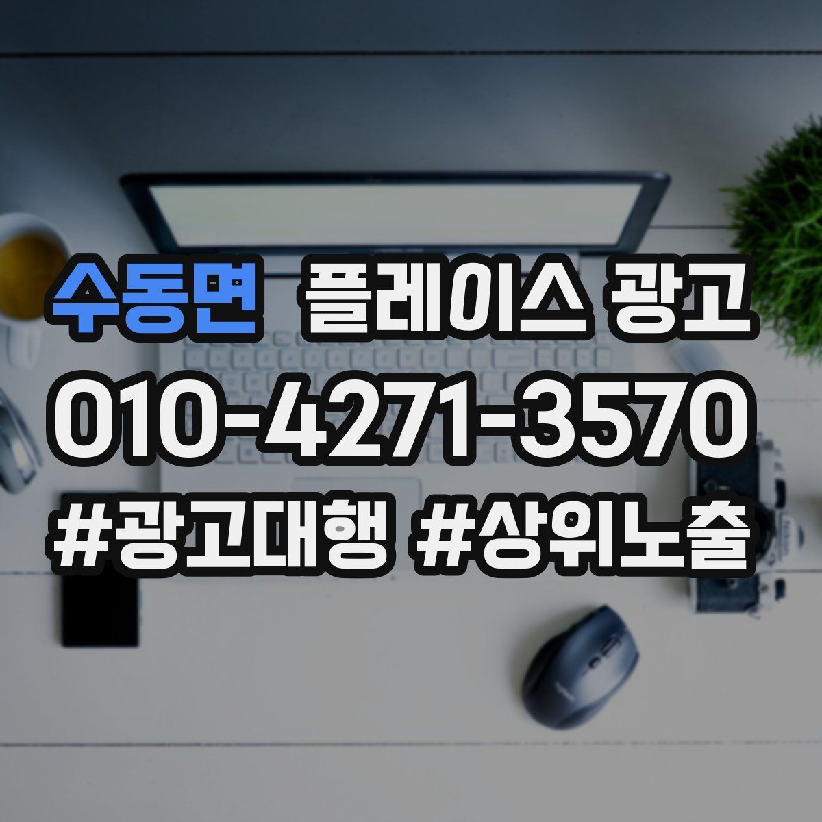 수동면 플레이스 광고