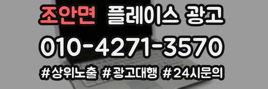 조안면 플레이스 광고