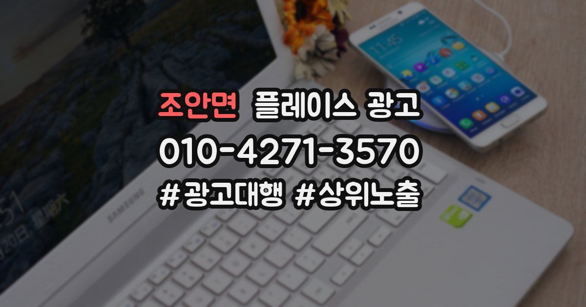 조안면 플레이스 광고