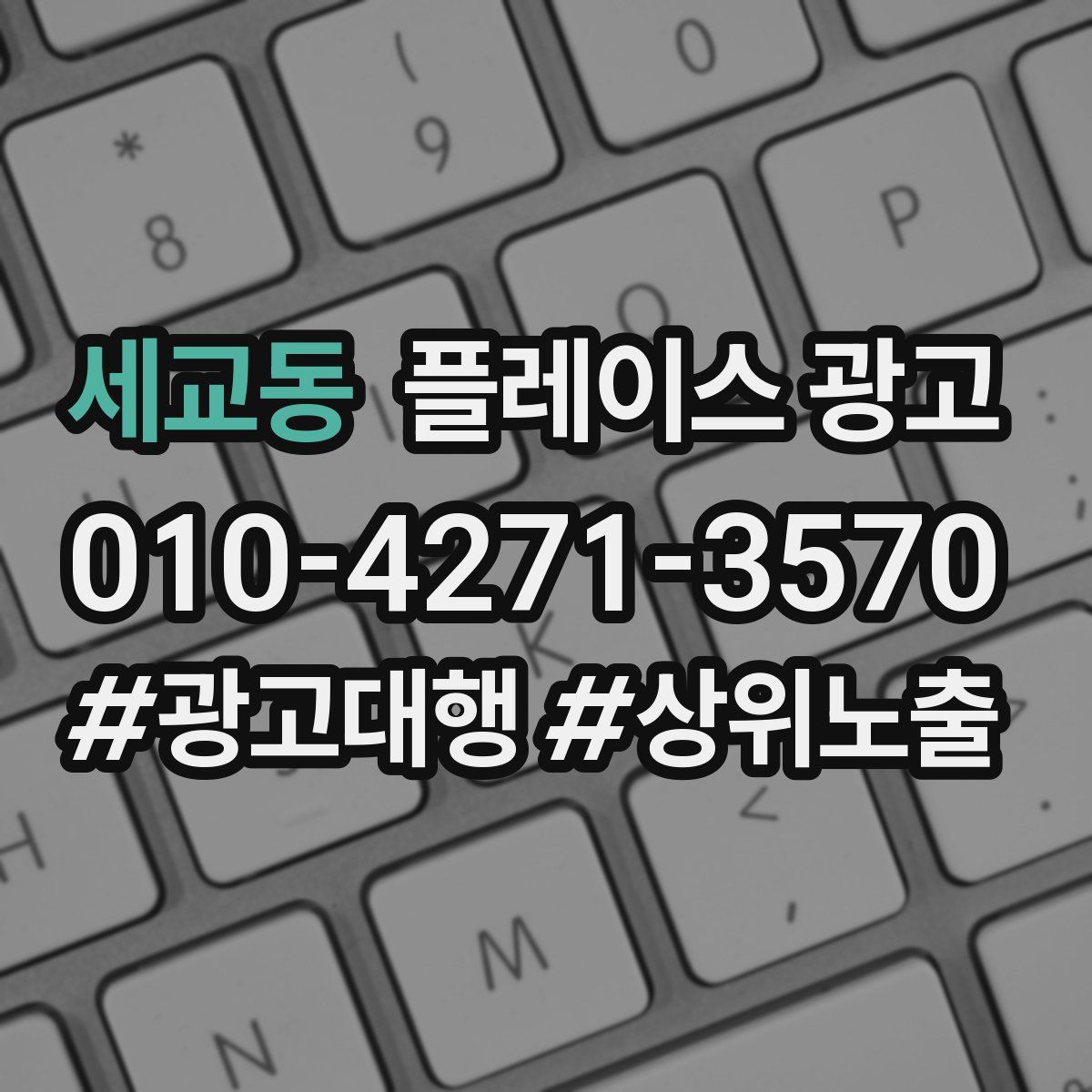 세교동 플레이스 광고