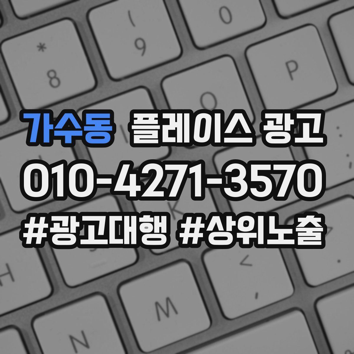 가수동 플레이스 광고