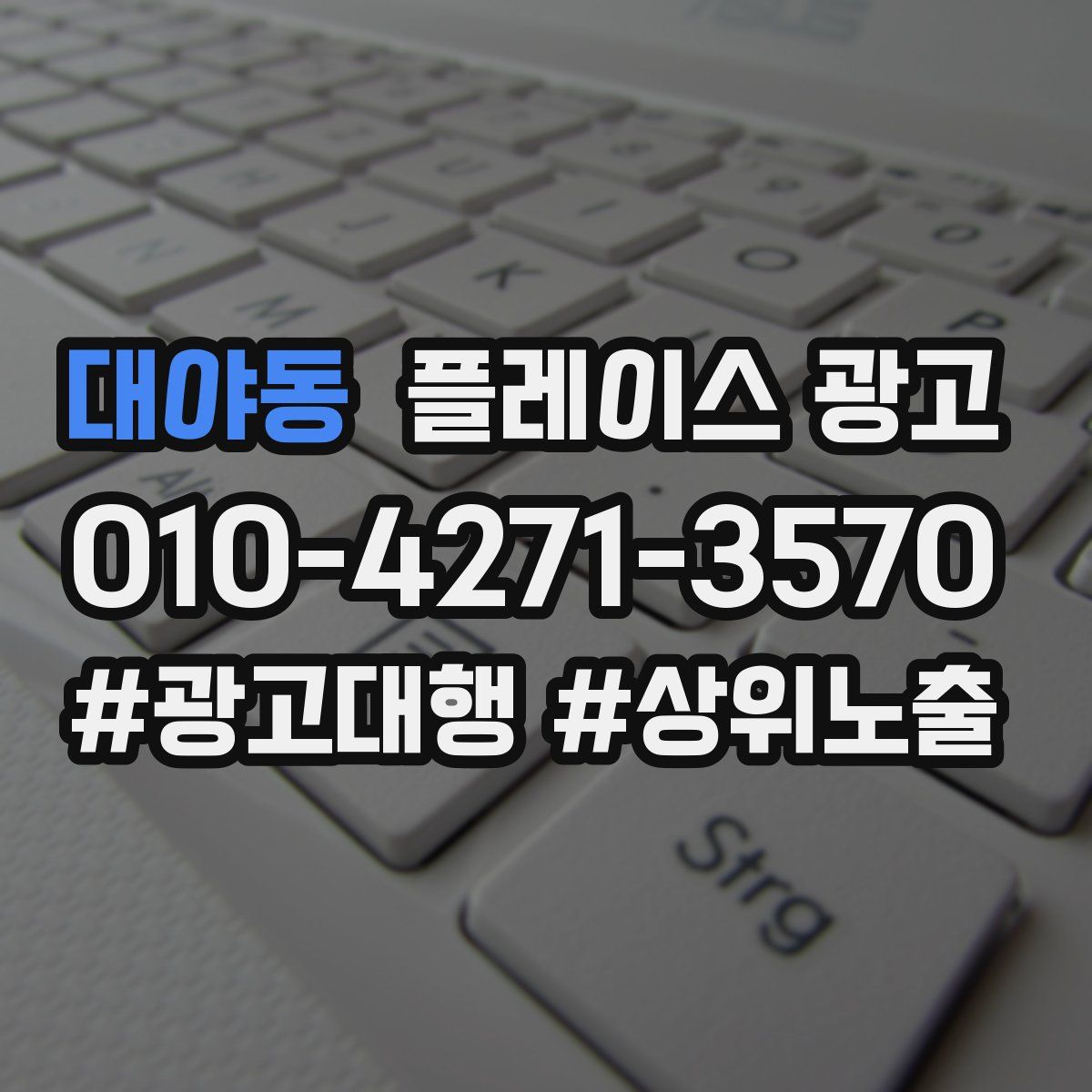 대야동 플레이스 광고