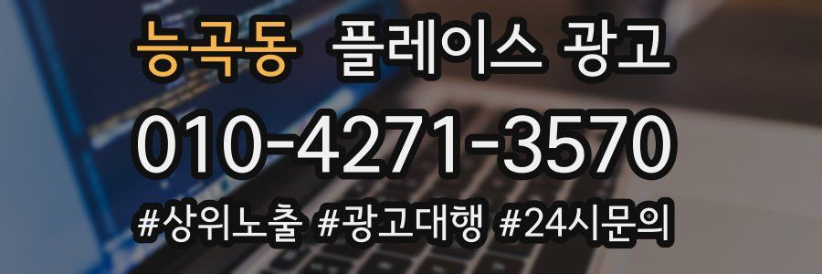 능곡동 플레이스 광고
