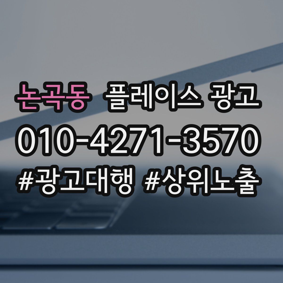 논곡동 플레이스 광고