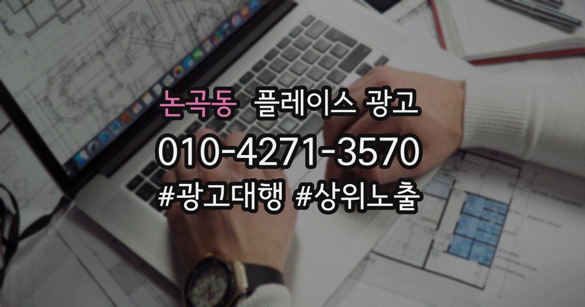 논곡동 플레이스 광고