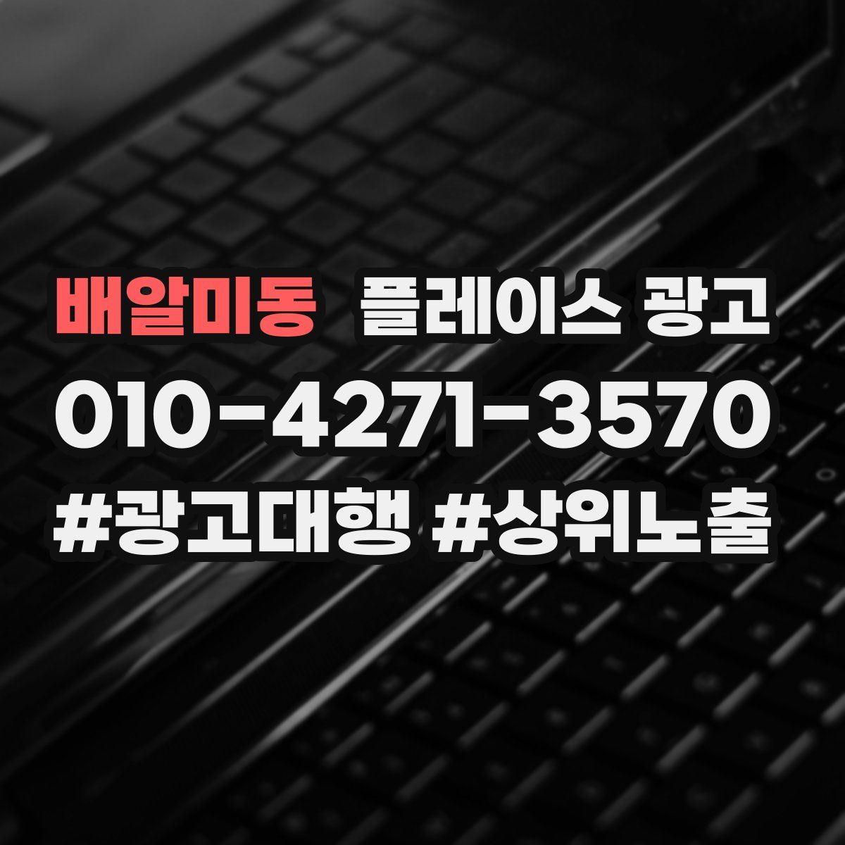 배알미동 플레이스 광고