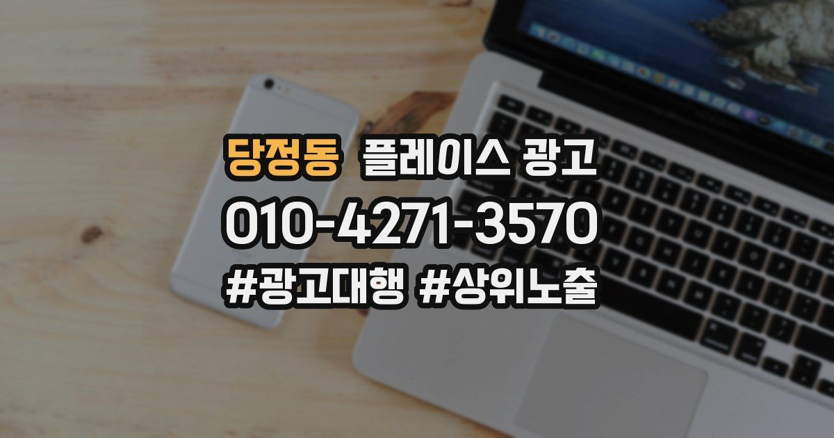 당정동 플레이스 광고