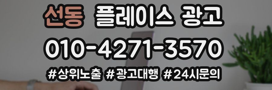 선동 플레이스 광고
