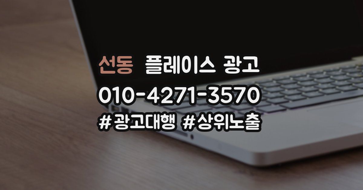 선동 플레이스 광고