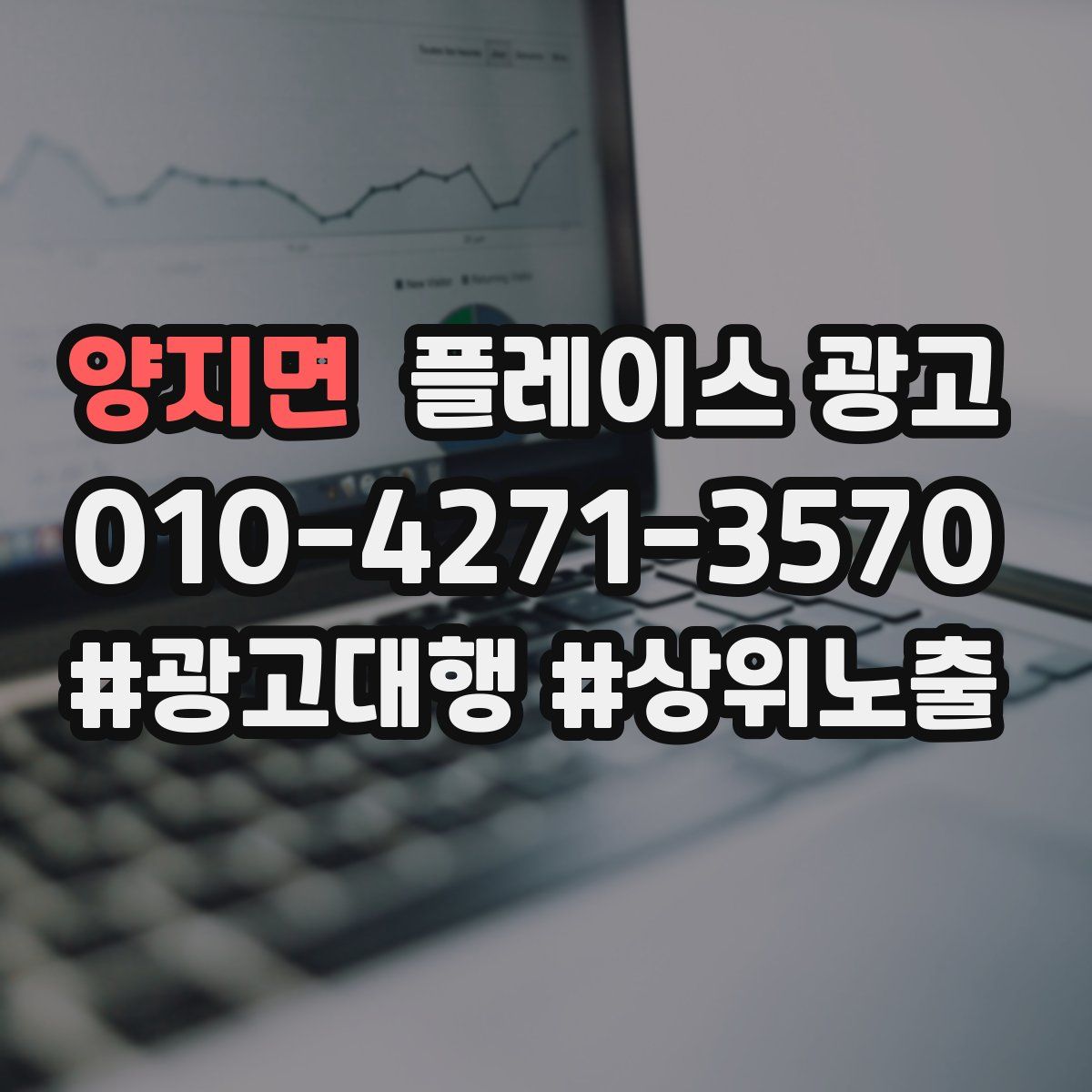 양지면 플레이스 광고