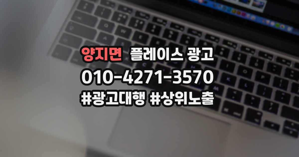양지면 플레이스 광고