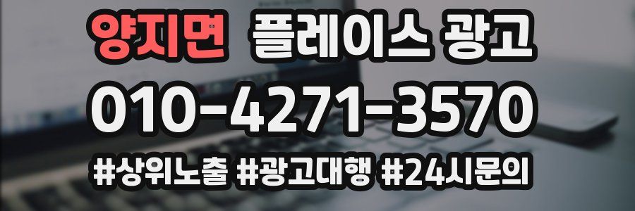 양지면 플레이스 광고
