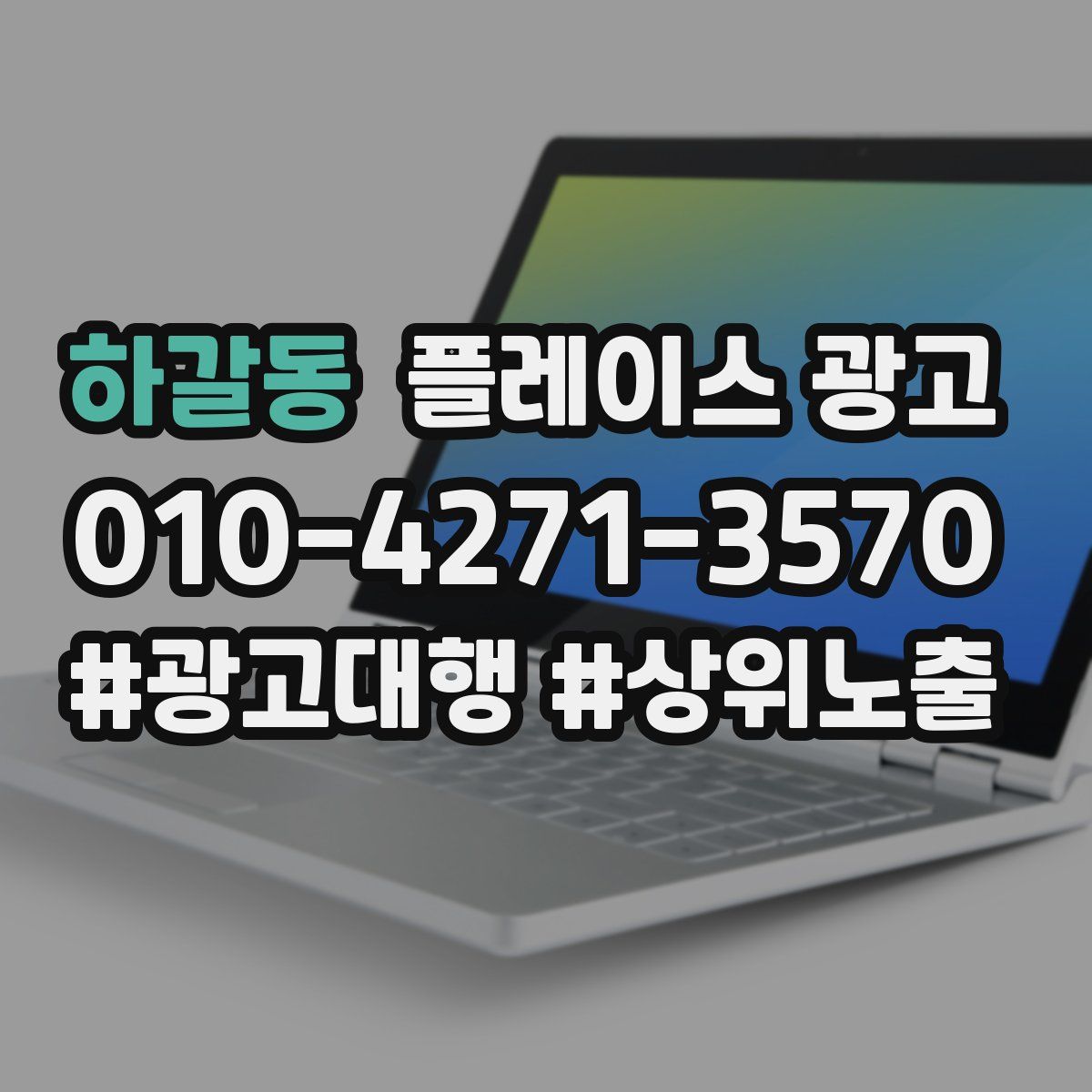 하갈동 플레이스 광고