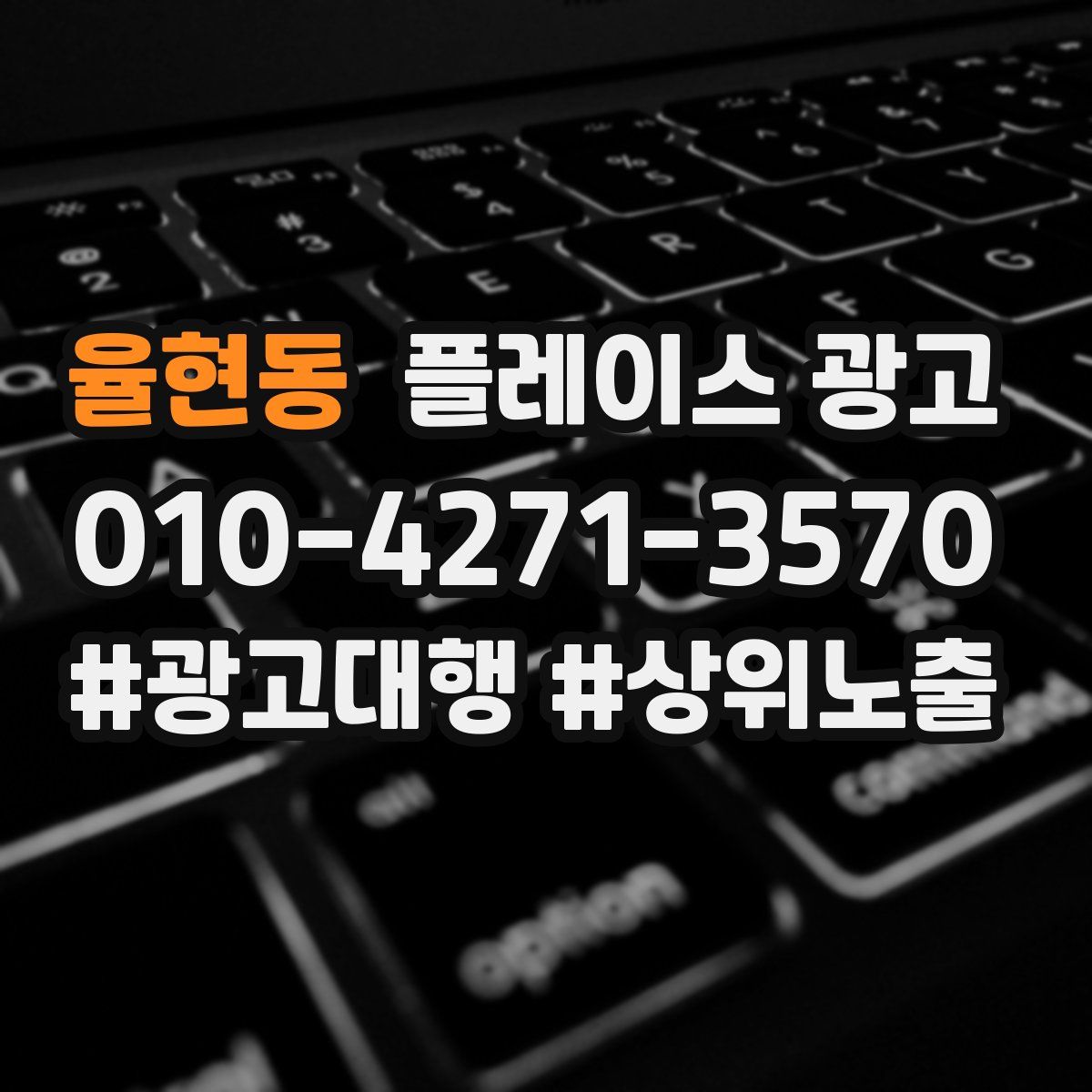 율현동 플레이스 광고