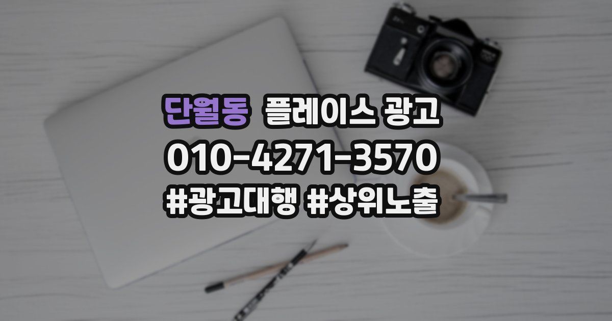 단월동 플레이스 광고
