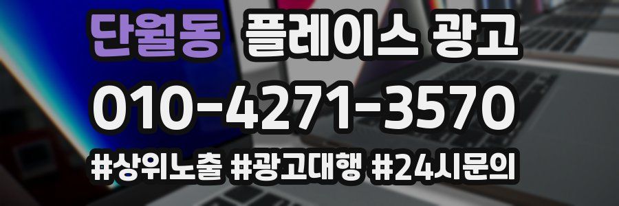 단월동 플레이스 광고