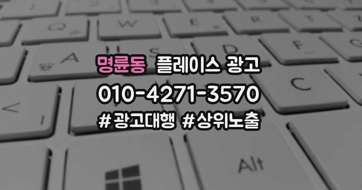 명륜동 플레이스 광고