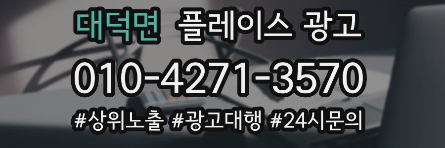 대덕면 플레이스 광고