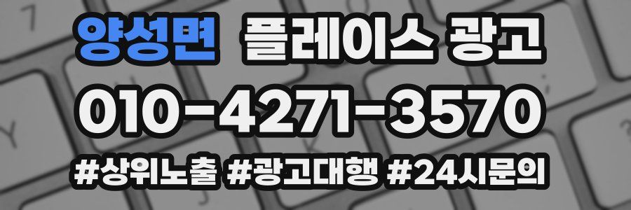 양성면 플레이스 광고