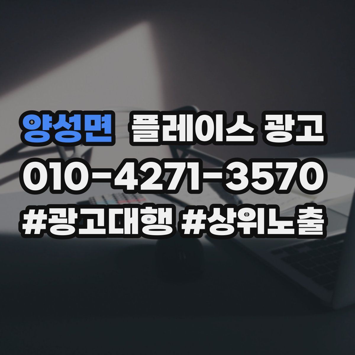 양성면 플레이스 광고