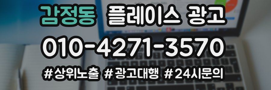 감정동 플레이스 광고