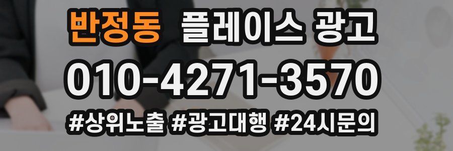 반정동 플레이스 광고