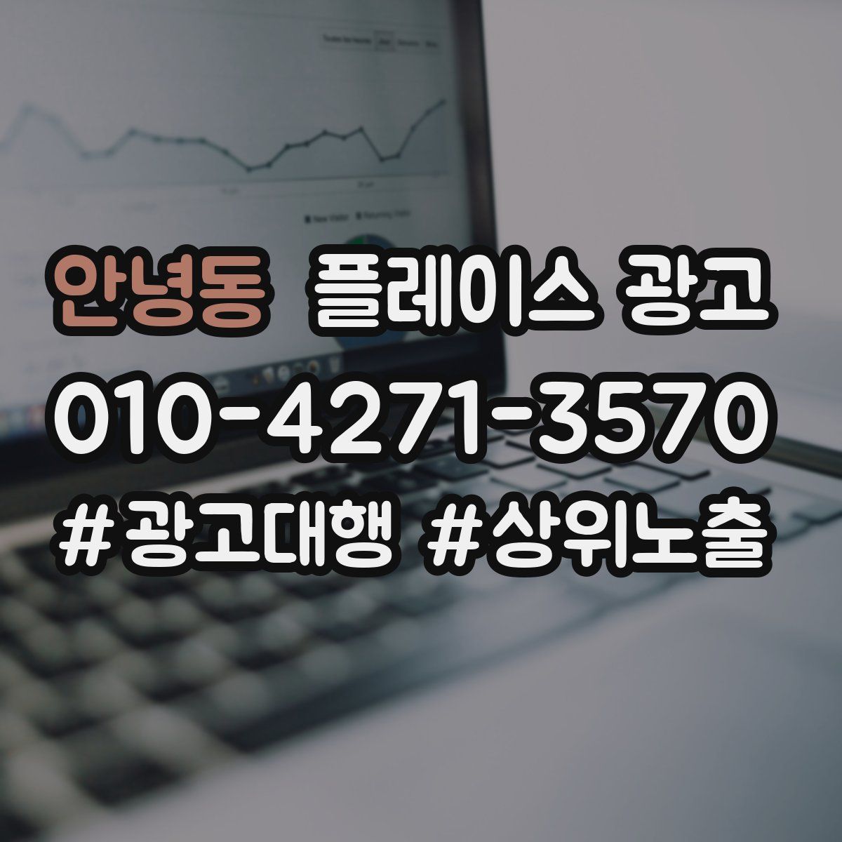 안녕동 플레이스 광고