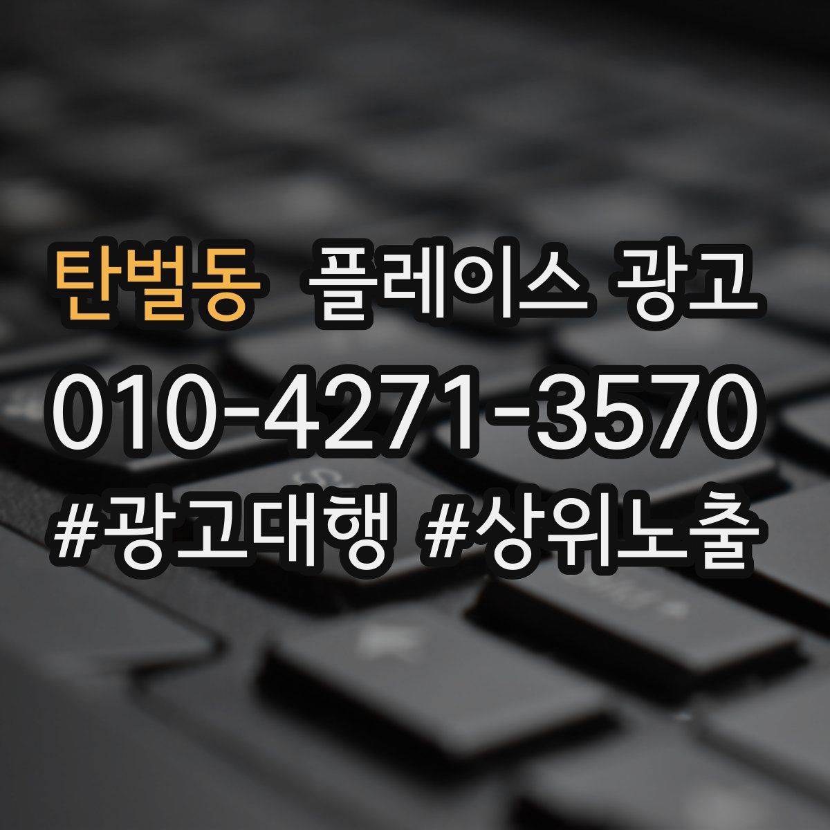 탄벌동 플레이스 광고