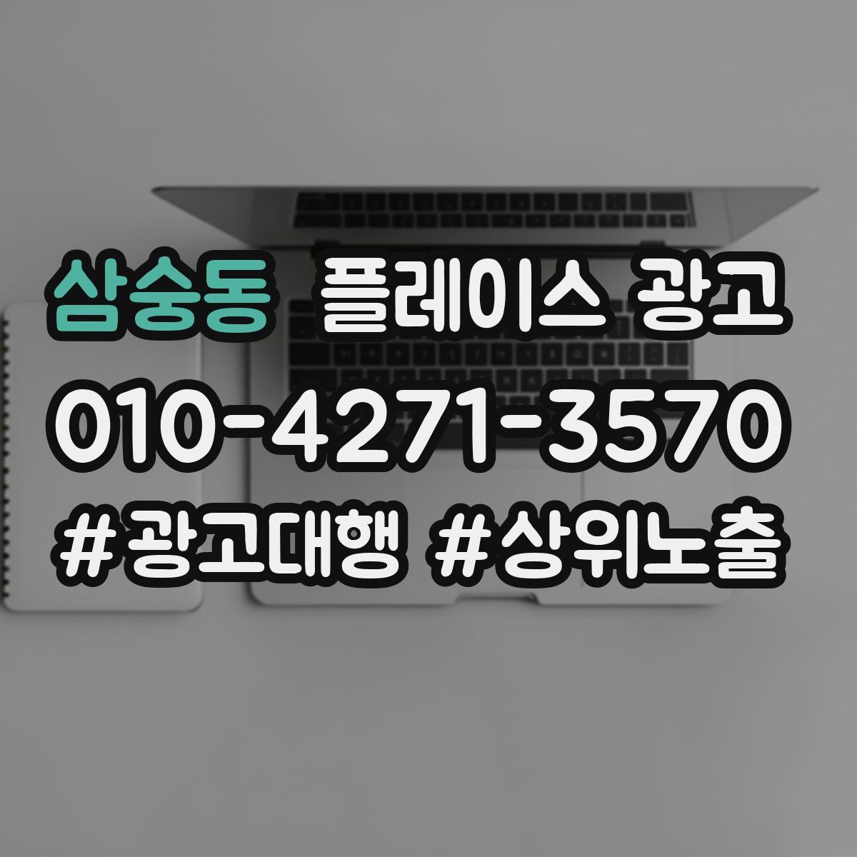 삼숭동 플레이스 광고